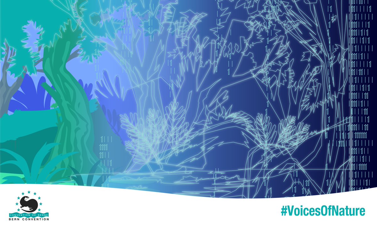 Freeing environmental information can turn tables! In Ukraine people started to fight for their nature thanks to the digitalisation of the #EmeraldNetwork. Environmental expert Marc Roekaerts tells about this digital revolution in the #VoicesOfNature blog: voicesofnature.eu/going-online-t…
