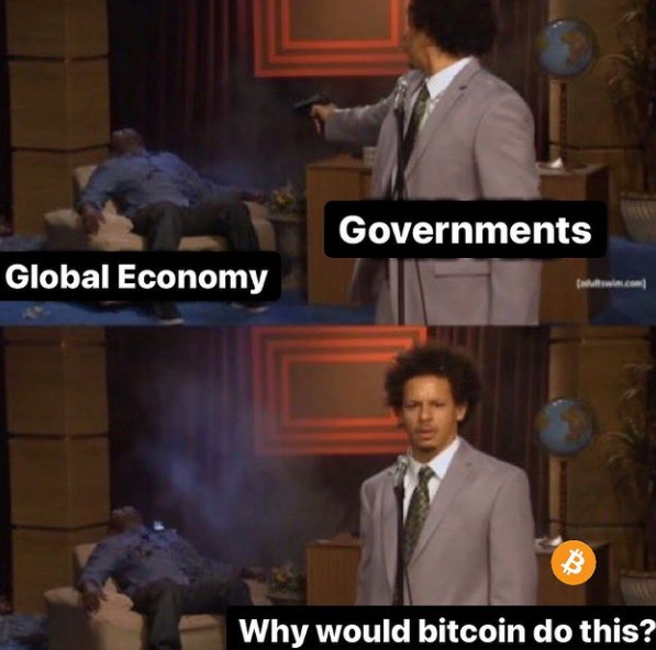 Rachel Wang tweet media