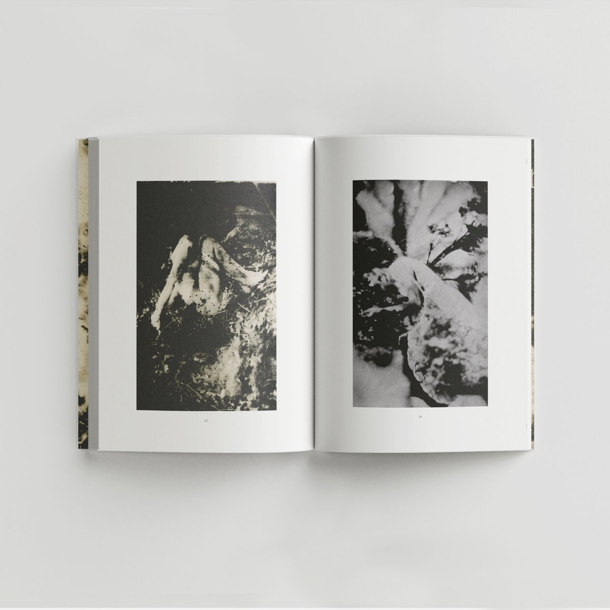 kristmort's tweet photo. My new book "werden", containing selected self-portraits from the past five years, is now available for pre-order! https://t.co/HLbRQYIJ1i https://t.co/uDxCUzhLFy