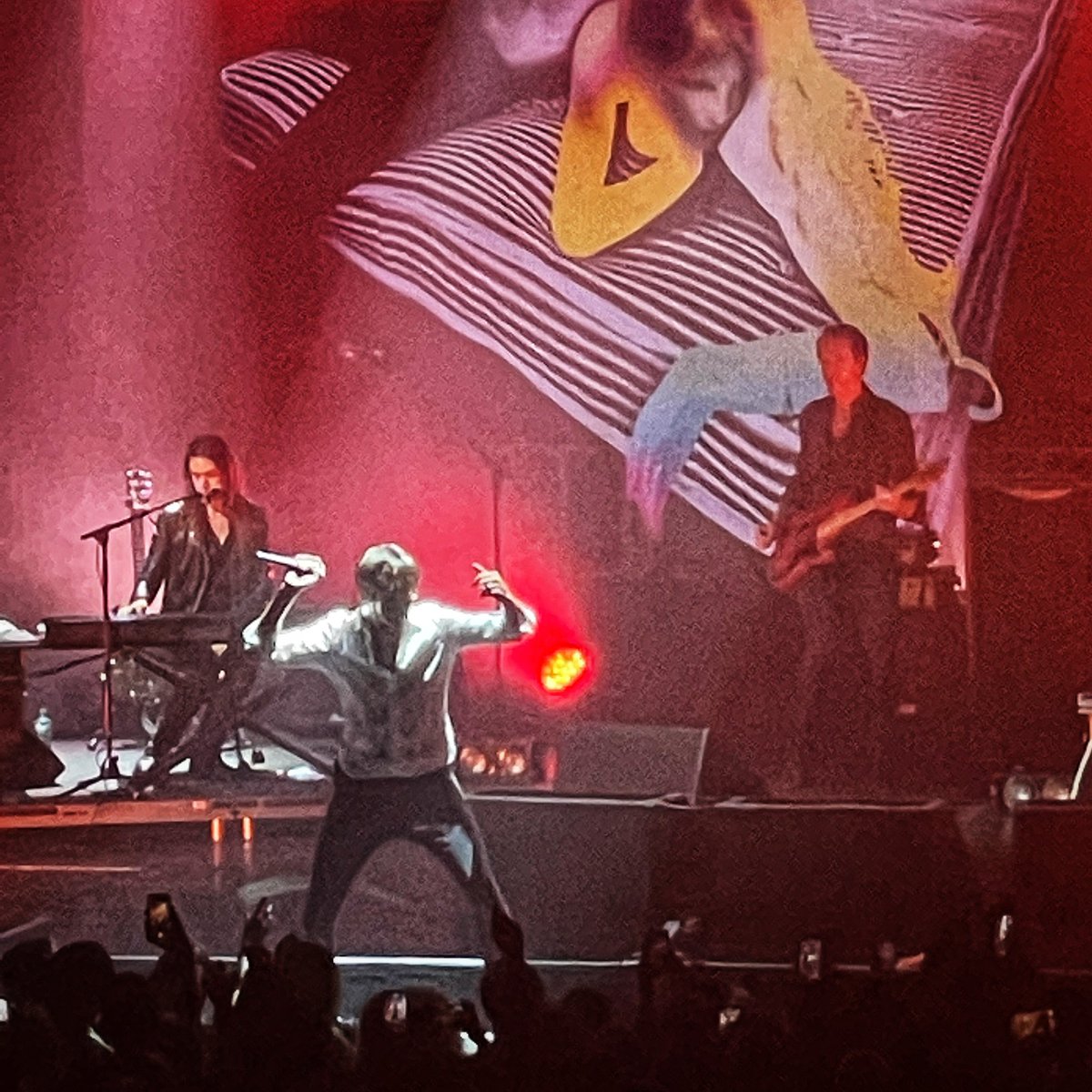 Heidi Crook tweet media