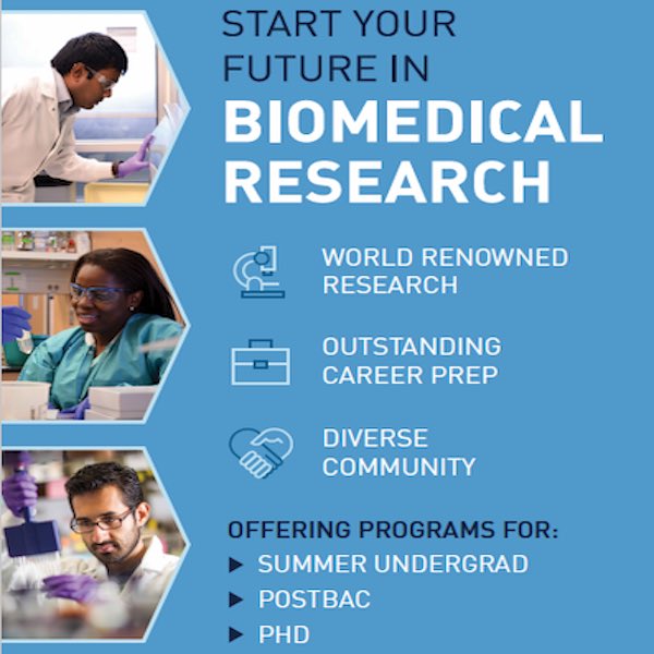 Ashalla Freeman tweet media