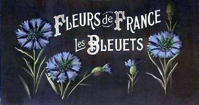 FamilySpace1's tweet photo. #DidYouKnow that in France the cornflower, or bleuet de France is the flower of remembrance on Armistice Day? Just like the poppy in many Commonwealth countries, it is worn to commemorate military personnel who died in war. #LestWeForget https://t.co/jWj6B2J8hb