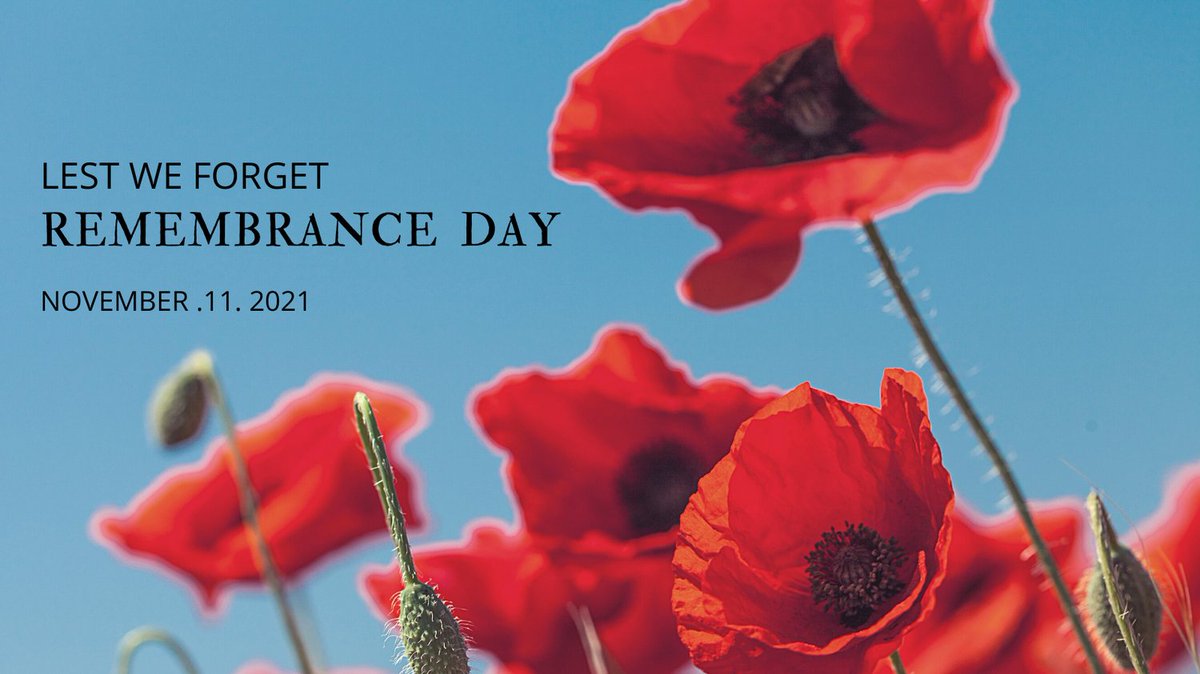 FoglerRubinoff's tweet photo. Today, we honour the brave men and women who served and continue to serve for the peace and freedom of our country. https://t.co/DhZ4bFNx2M