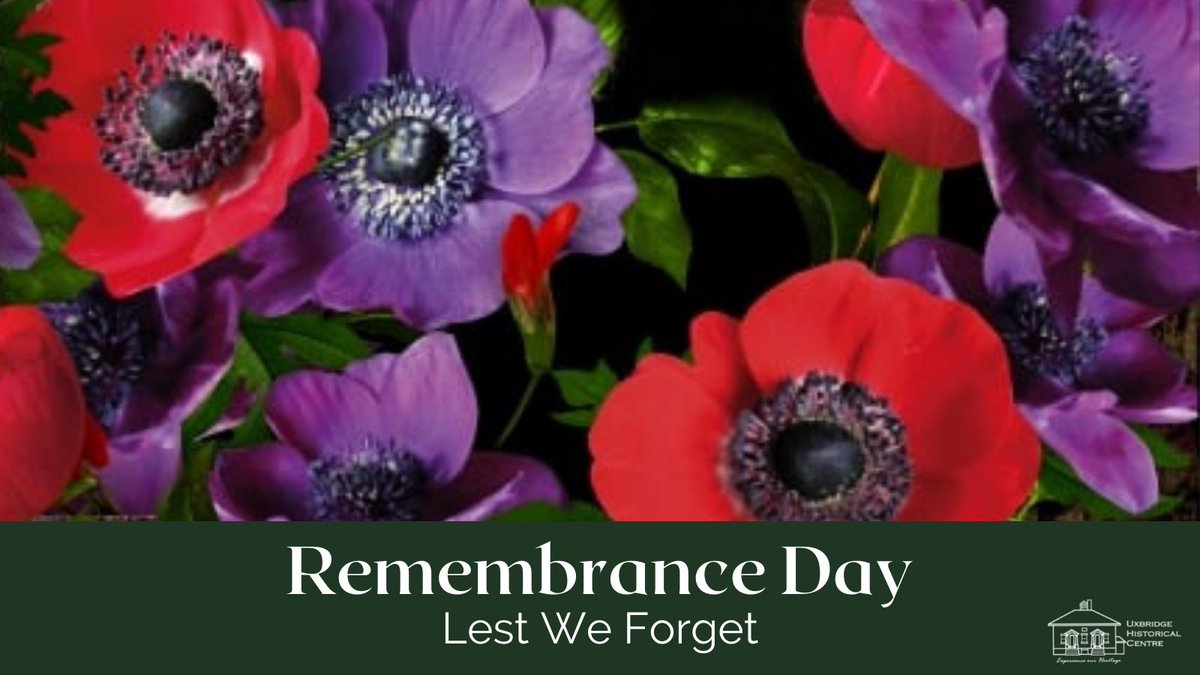Today, we honour our veterans. While a red poppy commemorates the men and women who served our country, a purple poppy can also be worn as it symbolizes remembering the animals of war. 
#RemembranceDay2021 #LestWeForget #WeWillRememberThem