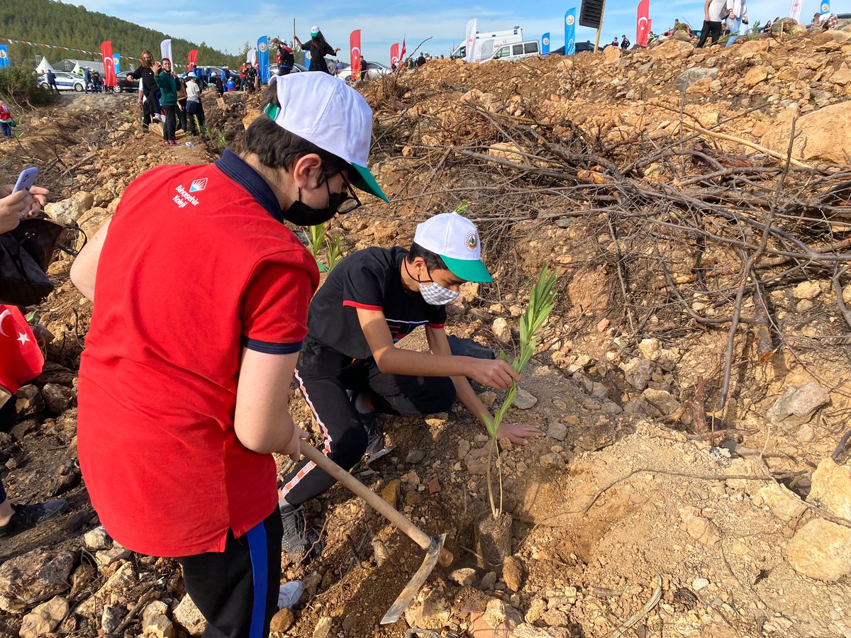 bk_bodrum's tweet photo. Orman Genel Müdürlüğü ve Milli Eğitim Bakanlığı iş birliğiyle Bodrum Güvercinlik Pina Mevkii'nde "Geleceğe Nefes" adıyla düzenlenen fidan dikim etkinliğinde Bodrum Bahçeşehir Anadolu Lisesi olarak birer fidan da biz diktik. #bahçeşehirkoleji #bodrumbahçeşehirkoleji https://t.co/eNrItm1JHb