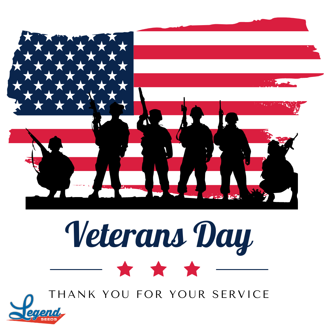 LegendSeeds's tweet photo. Honoring those who have served, past, present, and future! Today we recognize the brave men and women who have sacrificed so much! Legend Seeds thanks you and your families!🇺🇸

#veteran #service #military https://t.co/dvWt164nW0