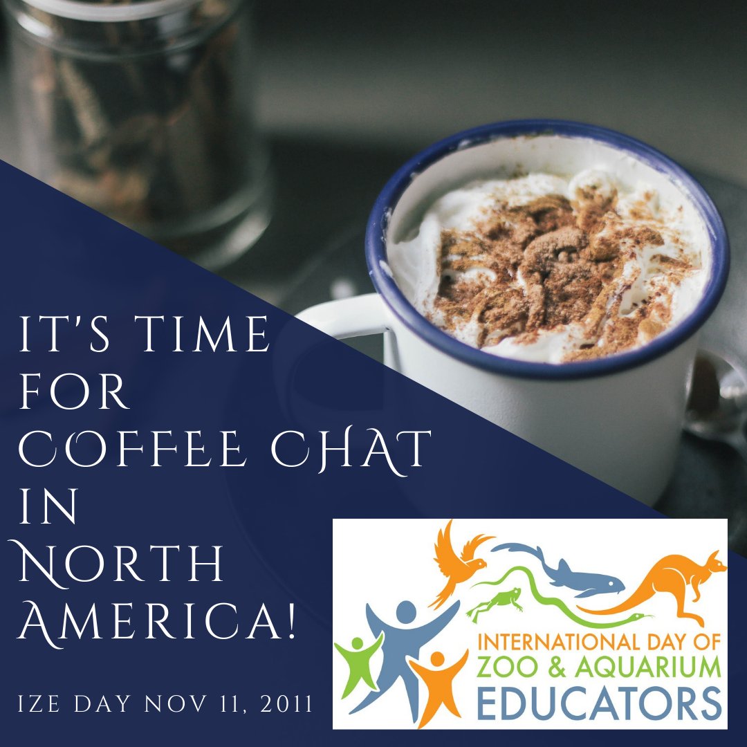 IZEducators tweet media