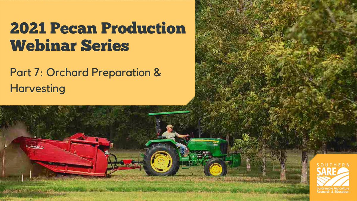 fruitveg_uaex's tweet photo. Did you miss our #pecan webinar yesterday? Don't worry, we recorded it! Listen as Dr. Charlie Graham, Sr. Pecan Specialist for @nobleresinst discusses #harvest considerations:  https://t.co/xQYRPz54Dj https://t.co/JC47u0SRGE