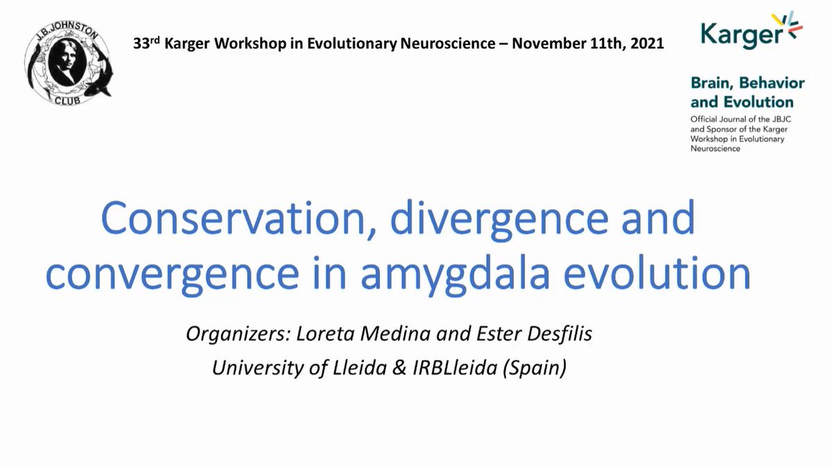 JB Johnston Club 🧠| #EvolNeuro tweet media