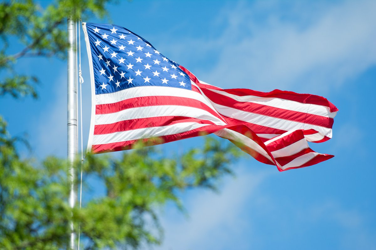 VirtualTelecomm's tweet photo. Thank you to all of the men and women who have served our country. We are forever grateful for your service and sacrifice. Happy Veteran's Day! #VeteransDay #ThankYou https://t.co/jAJyQKDOow
