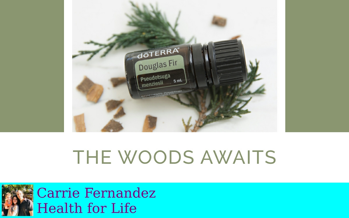 EOsCarrie's tweet photo. Sourced from young trees in New Zealand, premium Douglas Fir oil has a refreshing, airy aroma and can cleanse the skin when used topically. Get yours 15% off while supplies last! https://t.co/BXHKCRgfTv