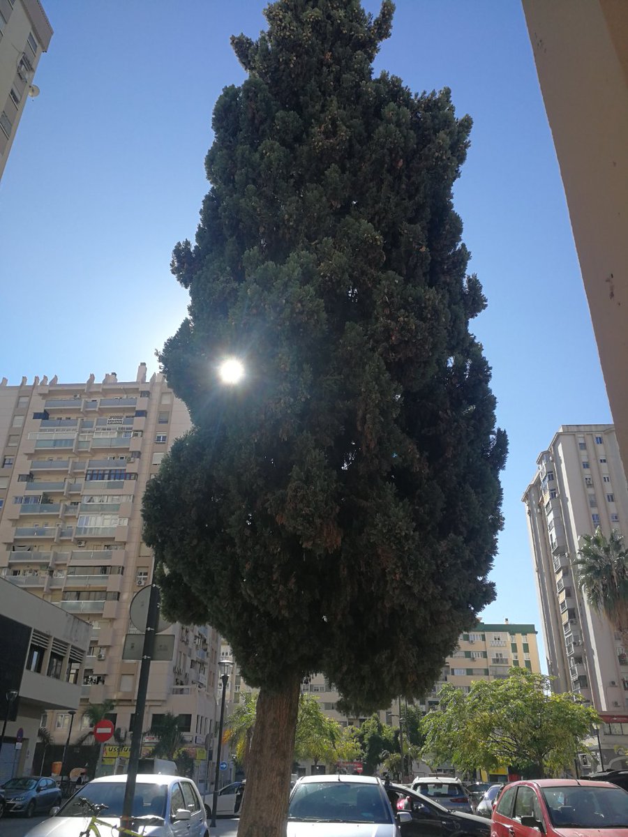 CastroGuerrero_'s tweet photo. Aquí y ahora. #Malaga
#SolEsMiSol 🌞 https://t.co/KDZBd9sdA3