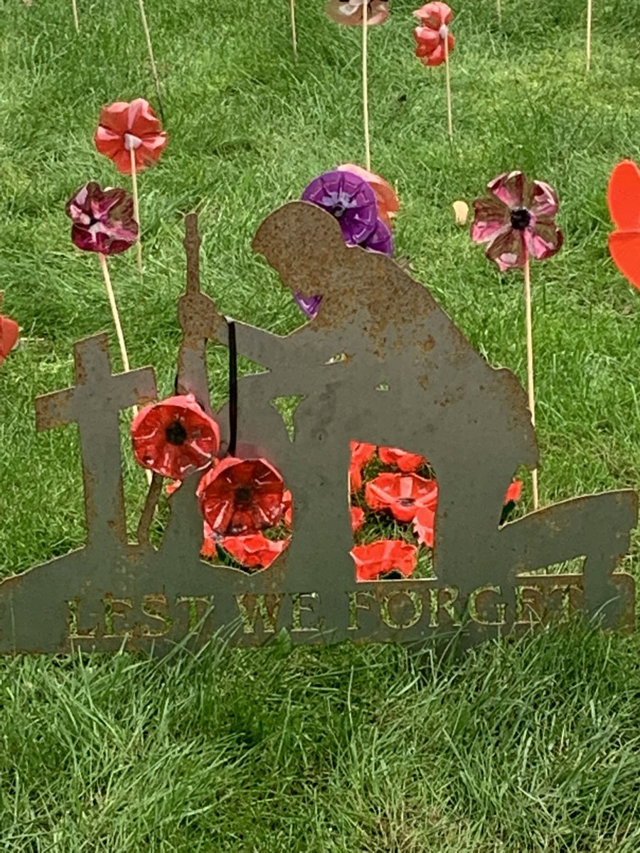 ShellyRiv1's tweet photo. Here’s all the hard work done by our residents at Harrison Park- handmade poppies from recycled plastic bottles & crocheted/knitted ones, spot the purple one for the horses♥️@RuthLeadsRd @pozCG @Riv_SarahCoward @chuchi3651 @AlanMarples @RiversideCarol @ClaireRoute @ConnecttoHull https://t.co/rPzKSPDoqD