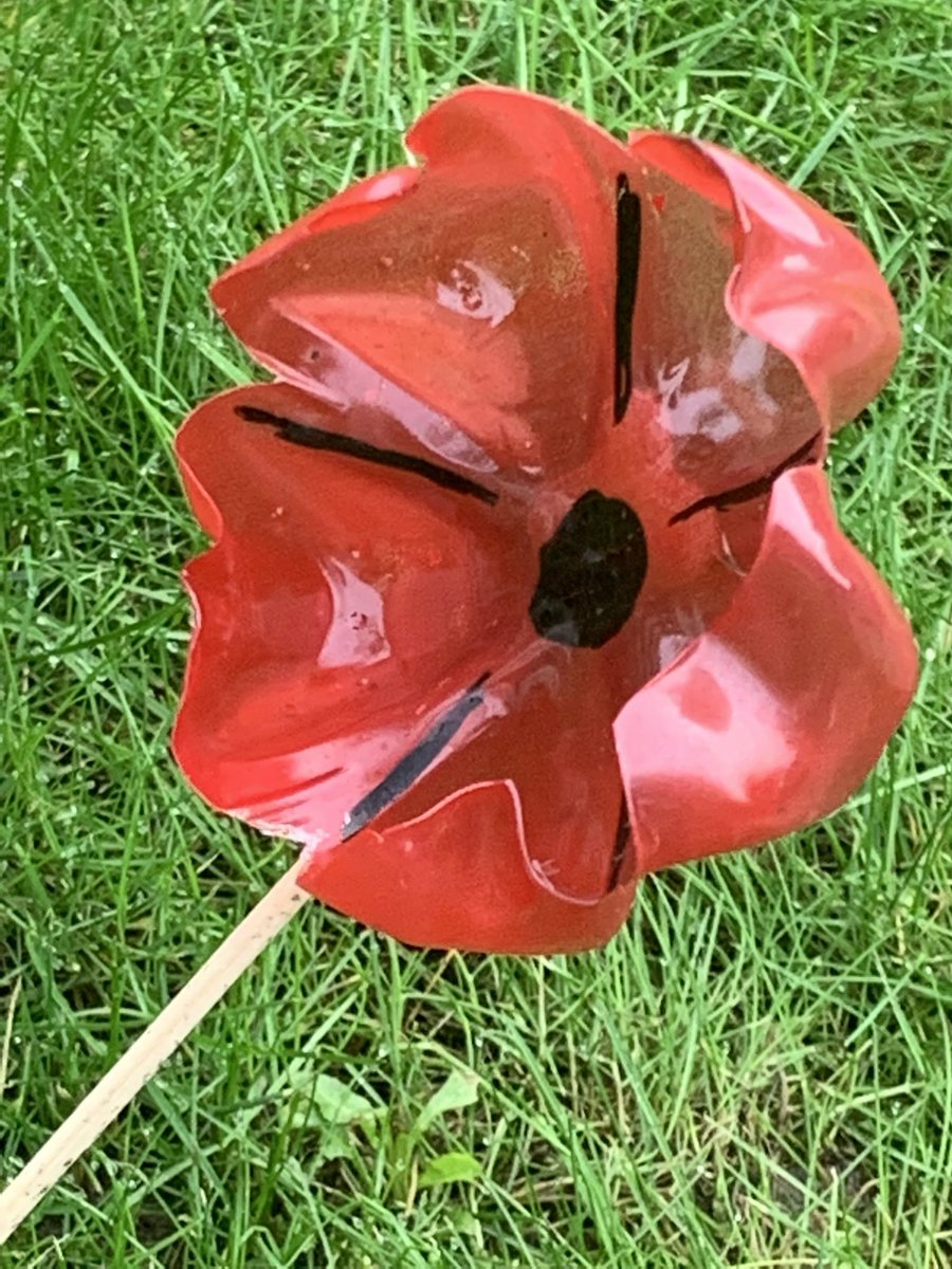 ShellyRiv1's tweet photo. Here’s all the hard work done by our residents at Harrison Park- handmade poppies from recycled plastic bottles & crocheted/knitted ones, spot the purple one for the horses♥️@RuthLeadsRd @pozCG @Riv_SarahCoward @chuchi3651 @AlanMarples @RiversideCarol @ClaireRoute @ConnecttoHull https://t.co/rPzKSPDoqD