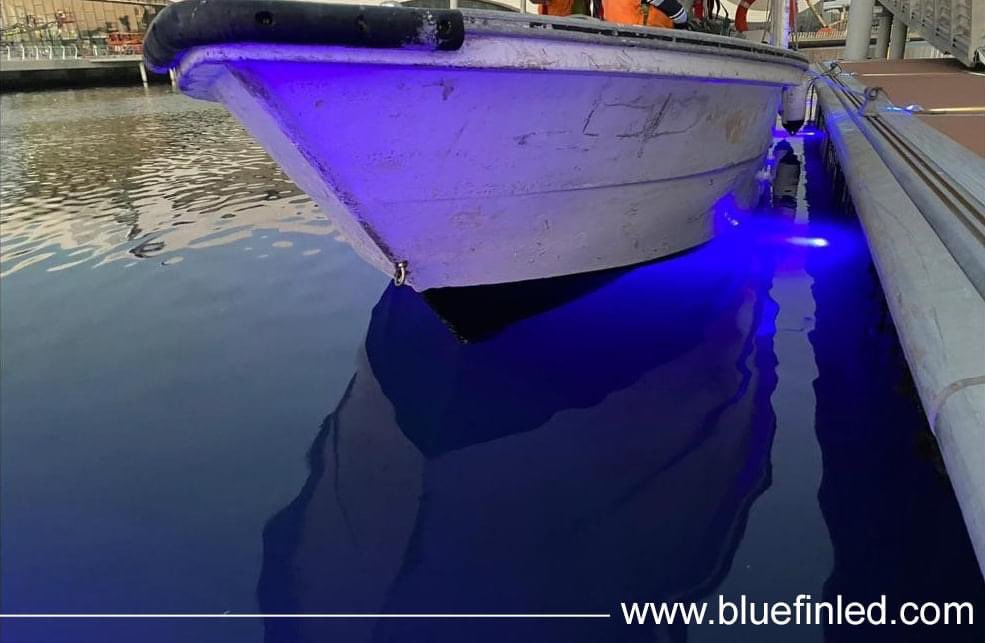 southwestmarine's tweet image. Al Qana waterfront development coming along nicely cannot wait to see it at night, using BluefinLed Dock Lighting
@alqana_ae #AlQana #marina #docklight #bluefinled #ledlighting #ukmanufacturing #pontoon #visitabudhabi #abudhabi