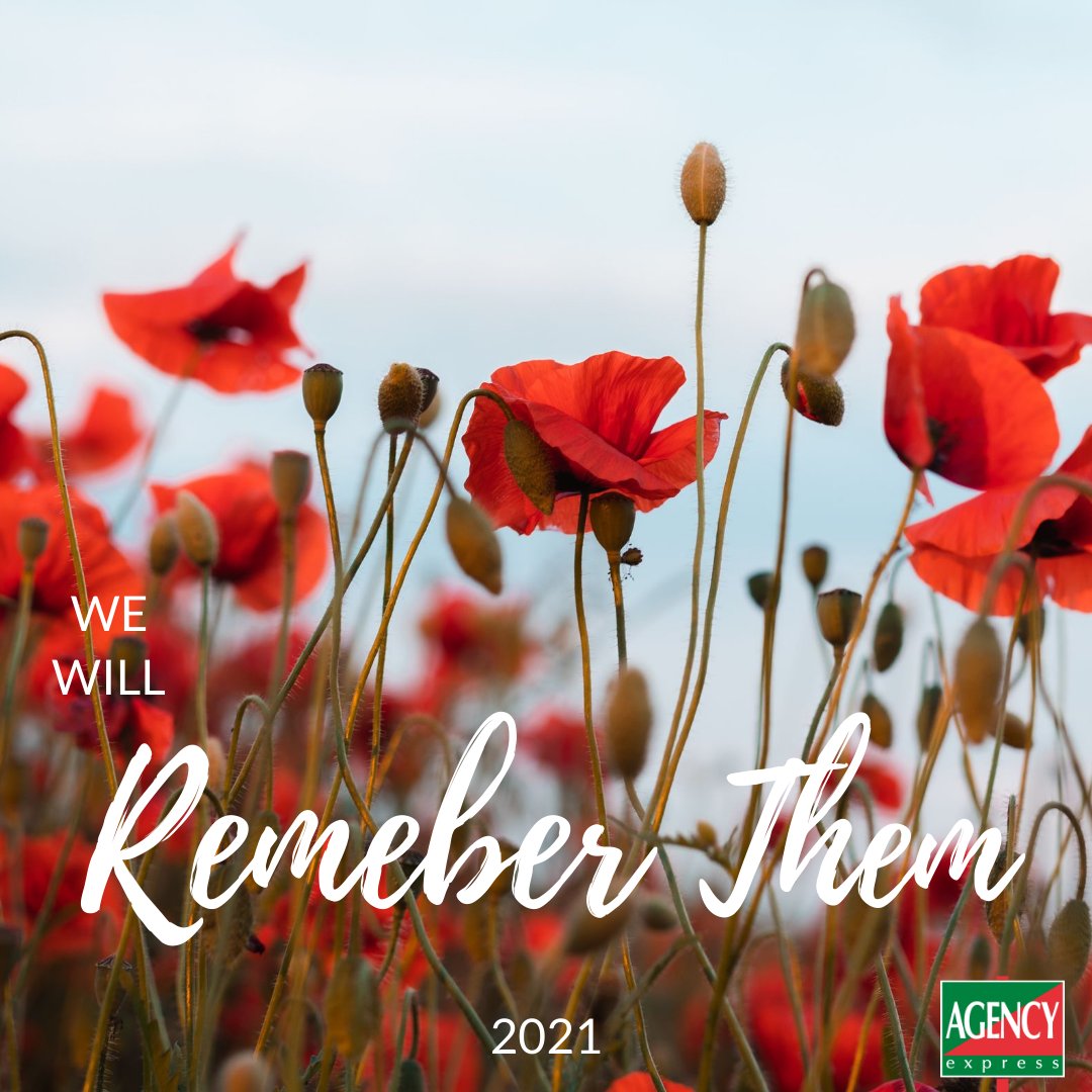 AgencyHarlow's tweet photo. Today we remember and honour those who have paid the ultimate sacrifice in the service of our country.

#lestweforget🌹 #remembranceday https://t.co/A2sc7BH0b6