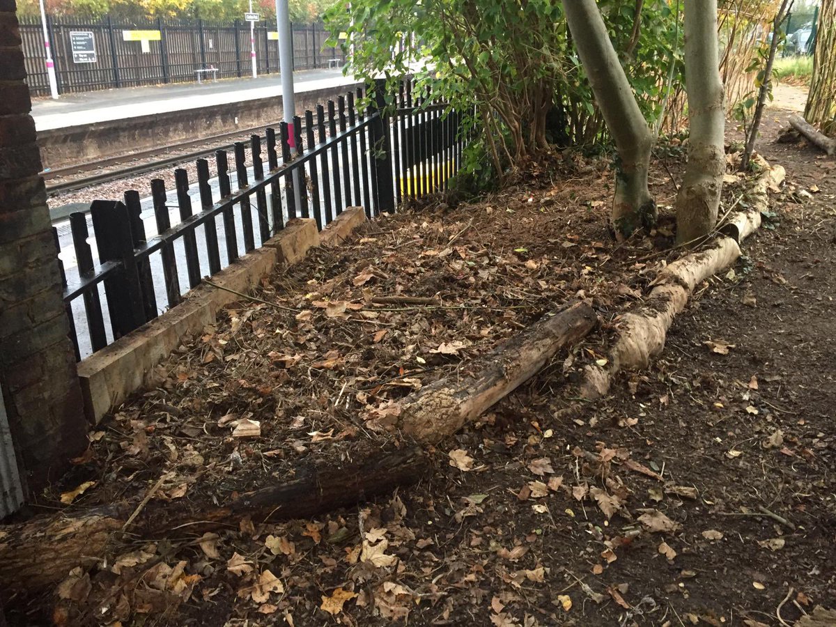 Crofton Park Railway Garden tweet media