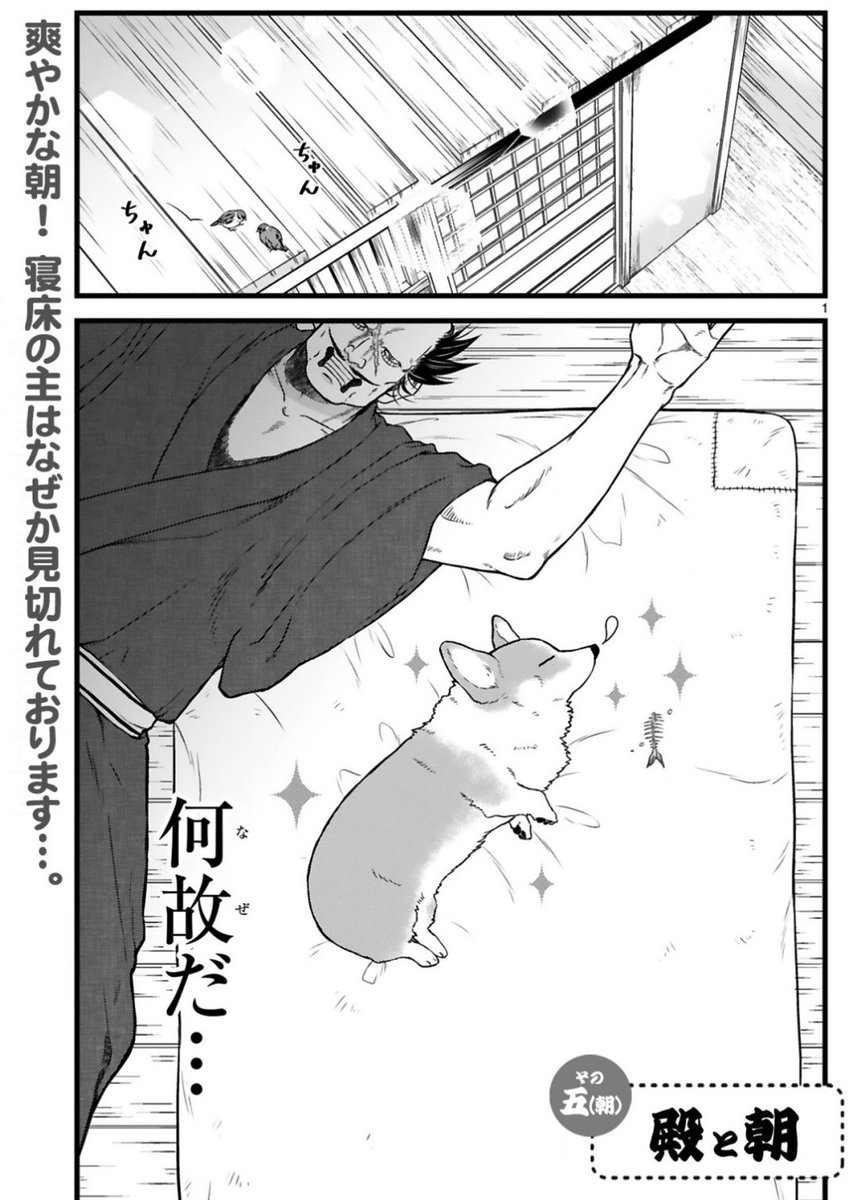 ✨本日更新✨  コワモテな殿とほがらかな犬の 天下泰平主従暮らし🍵  『殿と犬』西田理英 comic-polaris.jp/tonotoinu/  5話目は、殿と犬の「朝と夜」。 床のセンターを陣取る 犬ポジションの謎に迫る…❗️  ⏩アンケートや感想ツイート(#殿と犬)もお待ちしています🐶🐾 