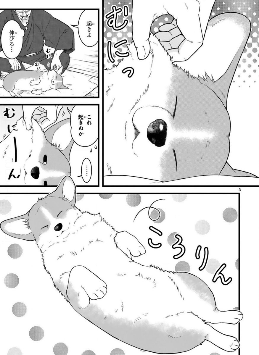 ✨本日更新✨  コワモテな殿とほがらかな犬の 天下泰平主従暮らし🍵  『殿と犬』西田理英 comic-polaris.jp/tonotoinu/  5話目は、殿と犬の「朝と夜」。 床のセンターを陣取る 犬ポジションの謎に迫る…❗️  ⏩アンケートや感想ツイート(#殿と犬)もお待ちしています🐶🐾 