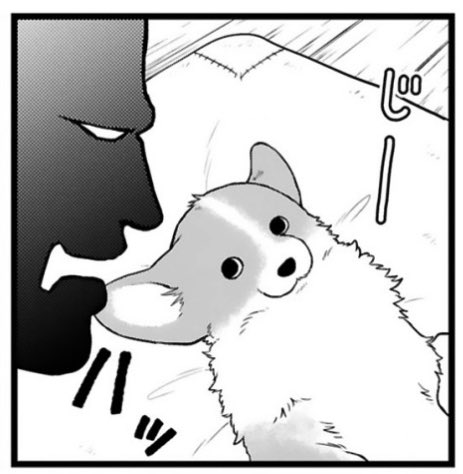 ✨本日更新✨  コワモテな殿とほがらかな犬の 天下泰平主従暮らし🍵  『殿と犬』西田理英 comic-polaris.jp/tonotoinu/  5話目は、殿と犬の「朝と夜」。 床のセンターを陣取る 犬ポジションの謎に迫る…❗️  ⏩アンケートや感想ツイート(#殿と犬)もお待ちしています🐶🐾 