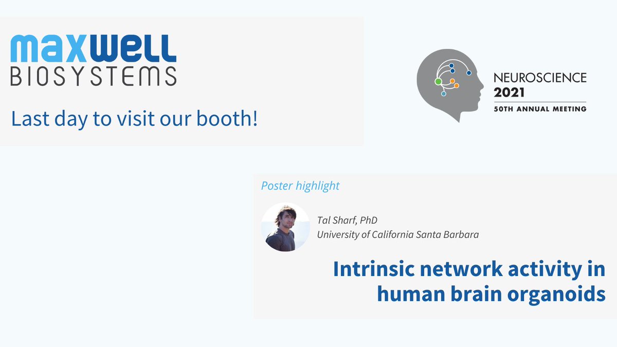 mxwbio's tweet photo. Today is your last chance to visit our booth at
@SfN_Events and last chance to check the poster by Dr.Tal Sharf from @KosikLab on human brain organoids featuring our technology. You can also read the preprint here https://t.co/dBoUdM3Edb.
#SfN21 #neuroscience #HDMEAs #organoids https://t.co/UQzSim4U5m