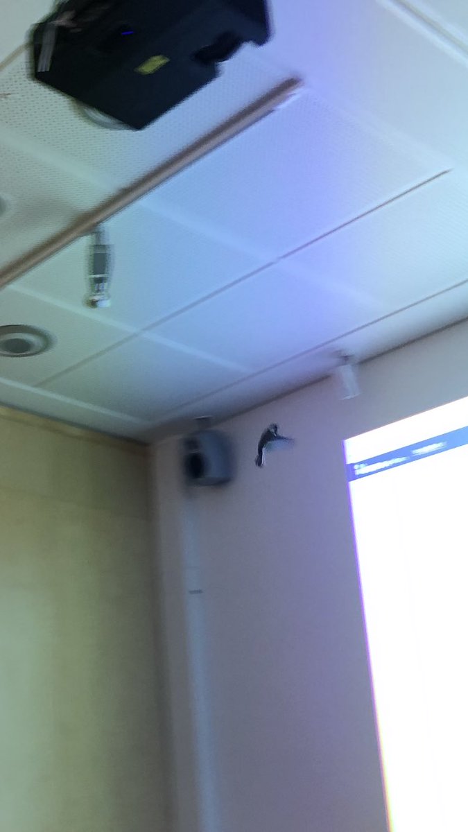 sonjajulkunen's tweet photo. Kesken harjoittelun paikalle ilmaantui salainen agentti. Mille taholle tästä tulee ilmoittaa?  #TAISTO21 @gradia_fi @DVVfi https://t.co/IUNqfbaAEQ