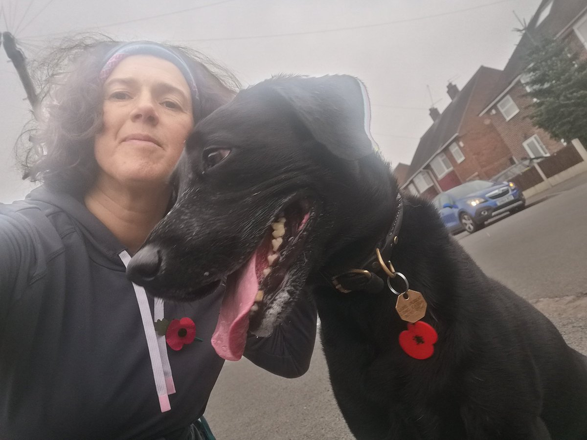 marathondogs's tweet photo. Suzy and I commemorated #RememberanceDay with our matching poppies.

https://t.co/x3FzJMFnOM

#marathondogs #dogwalking #dogwalker #poppy #lovelabs https://t.co/T0OY4tXgY9