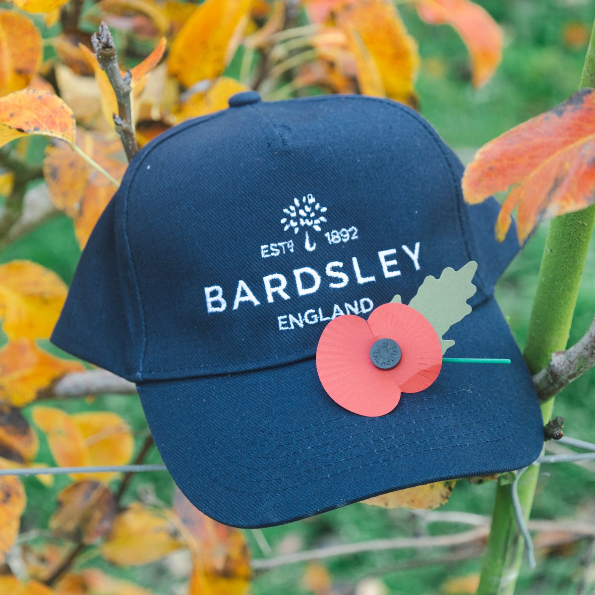 Bardsley England tweet media