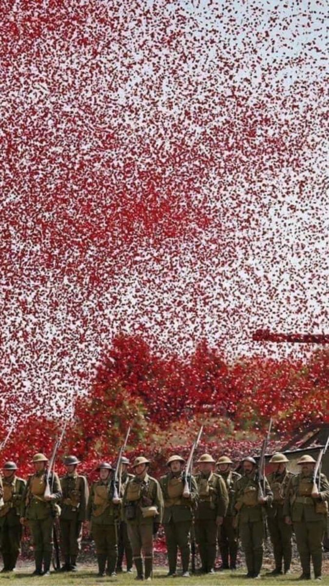 Wheeler 🏴󠁧󠁢󠁥󠁮󠁧󠁿 tweet media