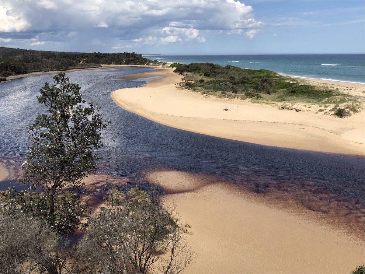 sandramcgeo's tweet photo. Yeerung River #Estuary #CapeConran impressive ripple marks just off the main channel π€© #geology https://t.co/9DcSs62VaR