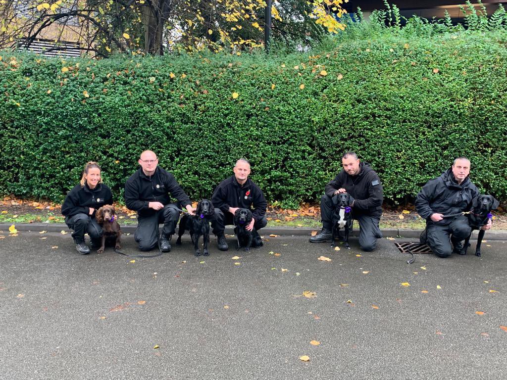 WMPDogs's tweet image. The narcotics initial course showing their respects for today ♥️#murphysarmy #servicedogs #lestweforget