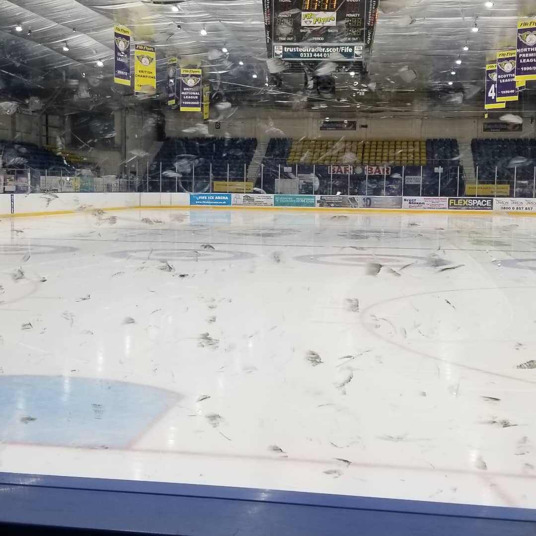 MikeyHildyEM's tweet image. #LestWeForget