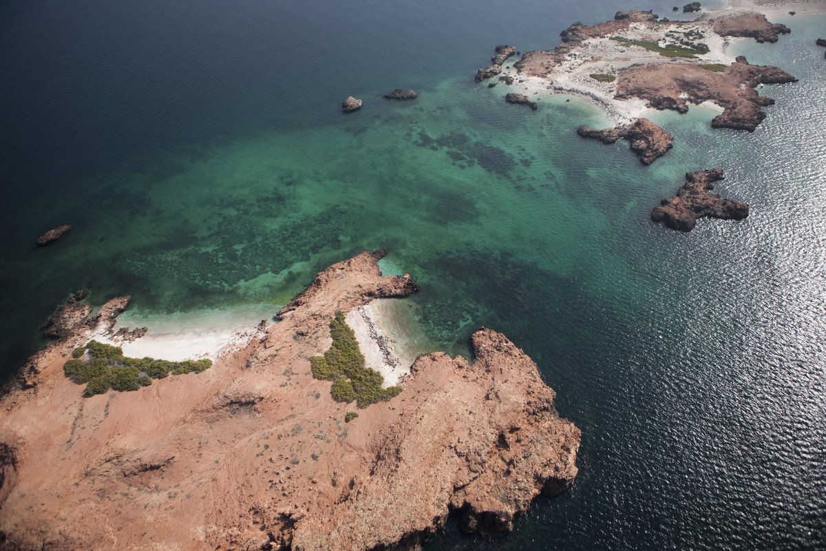 qantabtours's tweet photo. الجو جميل و الهواء عليل و يبيله طلعة بحرية. قنتب للسياحة تضبطكم بأحلى الرحلات بأفضل الأسعار. زورونا في مارينا بندر الروضة او اتصلوا على الرقم 99744065 للإستفسار أو الحجز. 

#الخميس_الونيس #العيد_الوطني_51_المجيد https://t.co/oI7PJwbccV