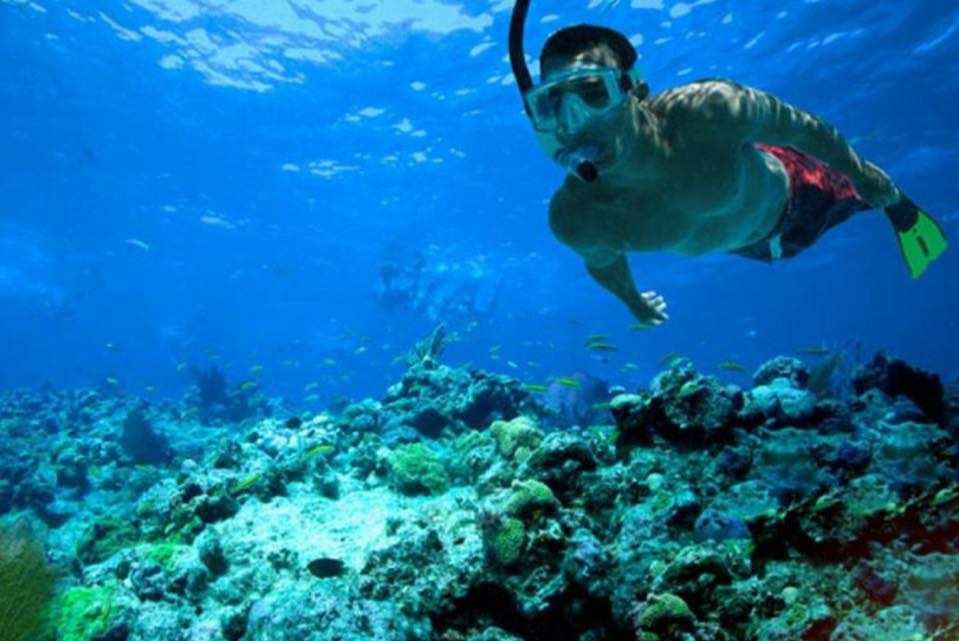 qantabtours's tweet photo. الجو جميل و الهواء عليل و يبيله طلعة بحرية. قنتب للسياحة تضبطكم بأحلى الرحلات بأفضل الأسعار. زورونا في مارينا بندر الروضة او اتصلوا على الرقم 99744065 للإستفسار أو الحجز. 

#الخميس_الونيس #العيد_الوطني_51_المجيد https://t.co/oI7PJwbccV
