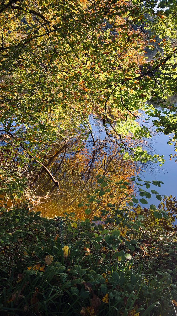 K_EarthProjects's tweet photo. Come for a (virtual) walk through the woods tonight and explore woodland management with us. You don’t need to be managing a woodland, you might be thinking about it, or just ❤️🌳🌲🌳, curiosity is enough… with @CumbriaWoodland, @JezRalph, &amp; me! Live@7pm
https://t.co/VpjffHHRWk https://t.co/OeRAUdAqzs