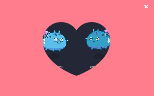 bbook_ax's tweet photo. Breeding Dusk Axie!! https://t.co/q6ZSz9wGiM