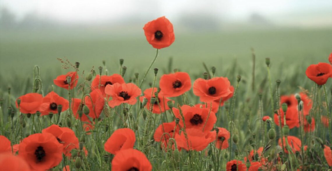 Marr Darley tweet media