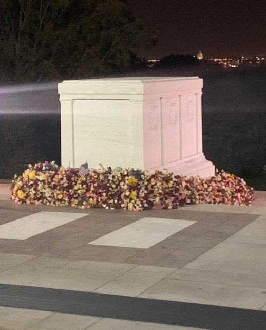 Quite an image.  I wish everyone could have experienced not just what it was like to lay a flower, but to watch how it affected the thousands and thousands who laid their flowers. #TUS100 #NationalSalute
