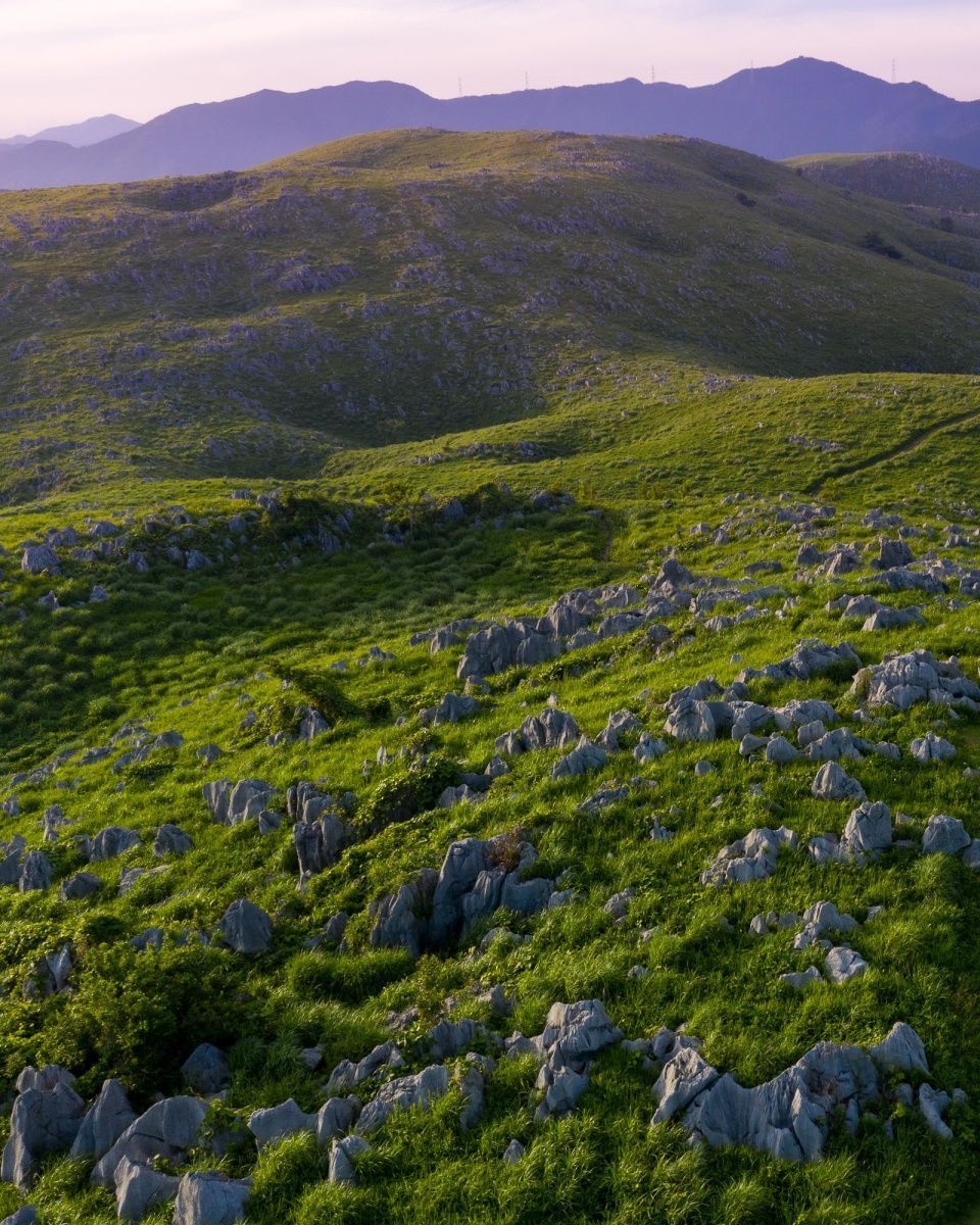 OffbeatJapan's tweet photo. Depending on the season, the landscape can be a bright summer green, or all black after the "Yamayaki" ceremonies where the grass is burnt (rest assured, new shoots appear not long after!) https://t.co/MgwOHTXPey