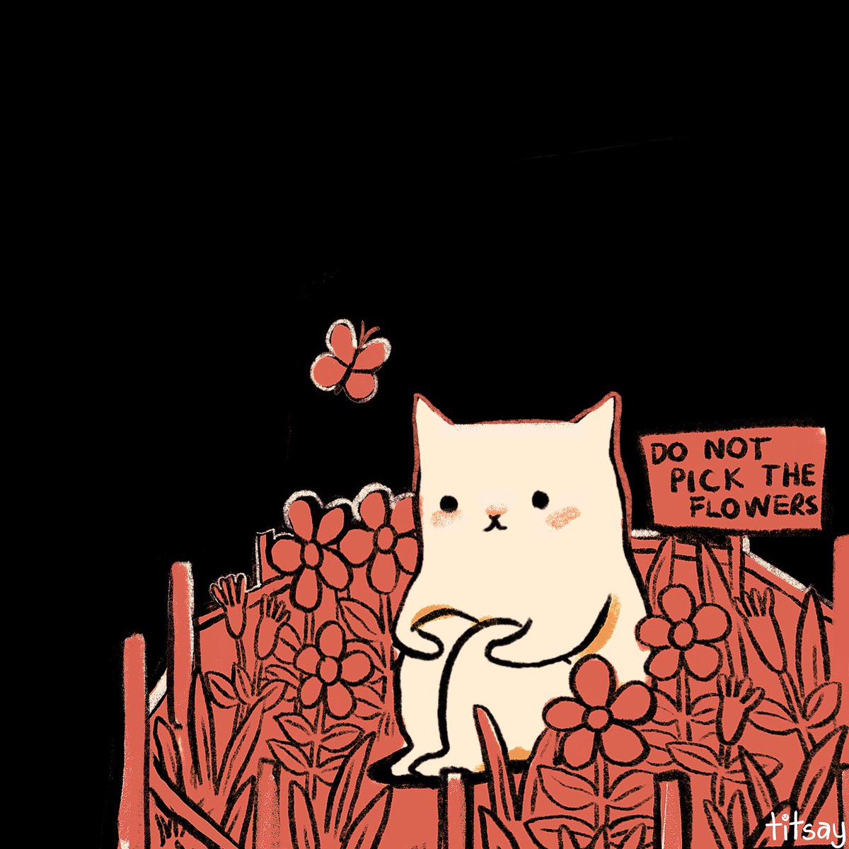 setting boundaries is not selfish