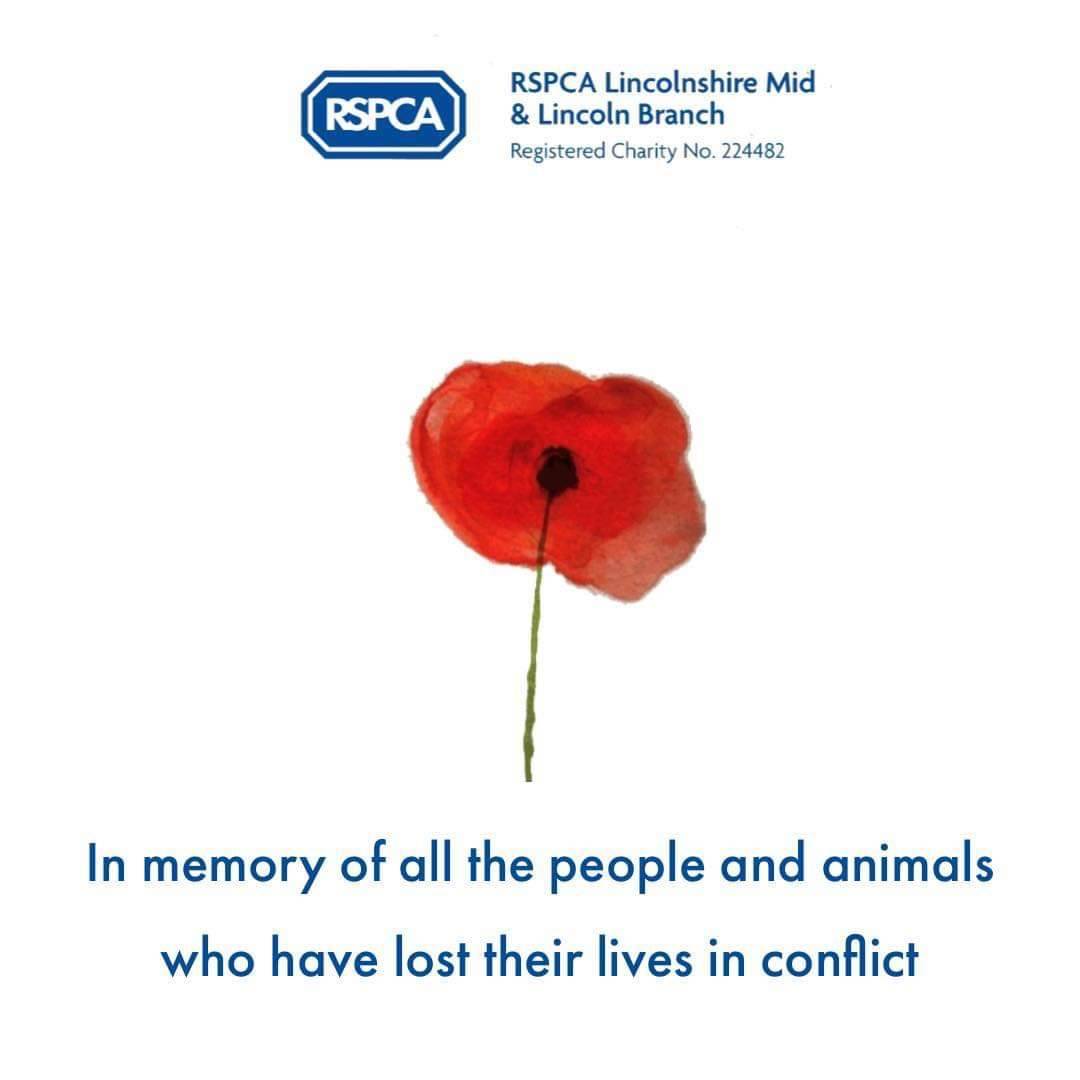 🐾Today we remember🐾

Spare a moment today to reflect on the lives of those lost in war and conflict.

May we remember them.
