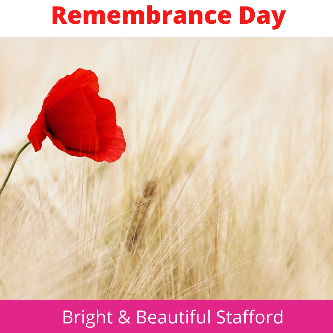 We Shall Remember Them #remembranceday #poppies #poppy