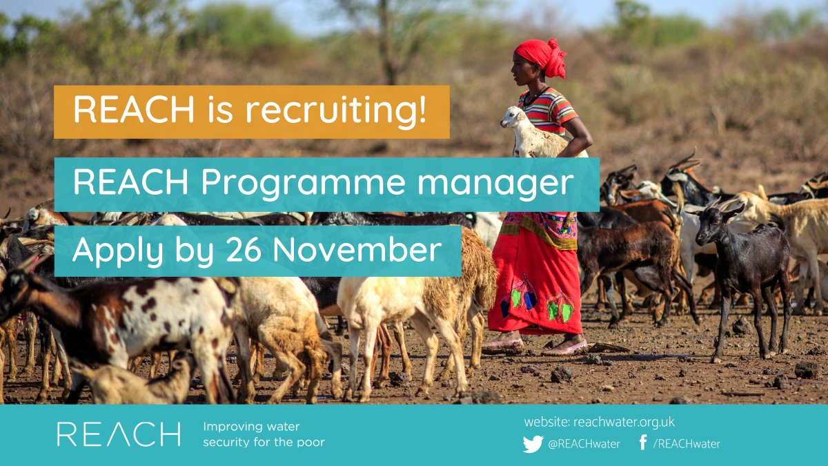 reachwater's tweet photo. 📢 We are recruiting for a new Programme Manager!

This is an exciting opportunity to manage the delivery of our @FCDOResearch-funded programme to improve #watersecurity for 10 million people in Africa &amp; Asia by 2024.

More info and apply (by 26 November): https://t.co/qK6cfktELx https://t.co/SVIxAIUlTZ