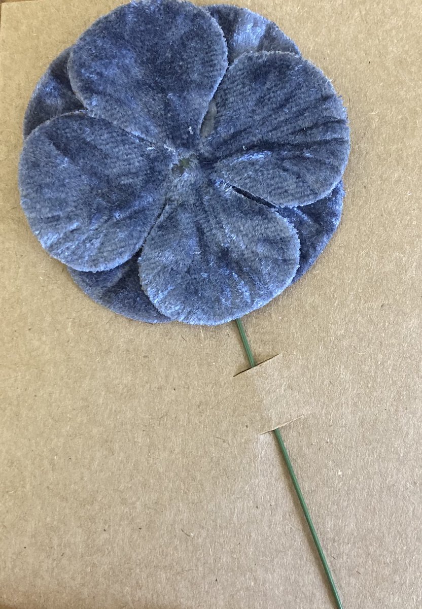 Paul Davey 🚜🌾🐑🚛🏴󠁧󠁢󠁥󠁮󠁧󠁿🏉 tweet media