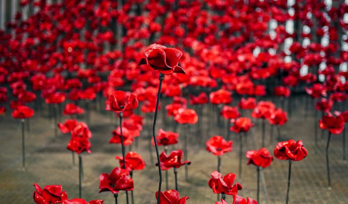 new_reg's tweet image. #LestWeForget #RemembranceDay2021