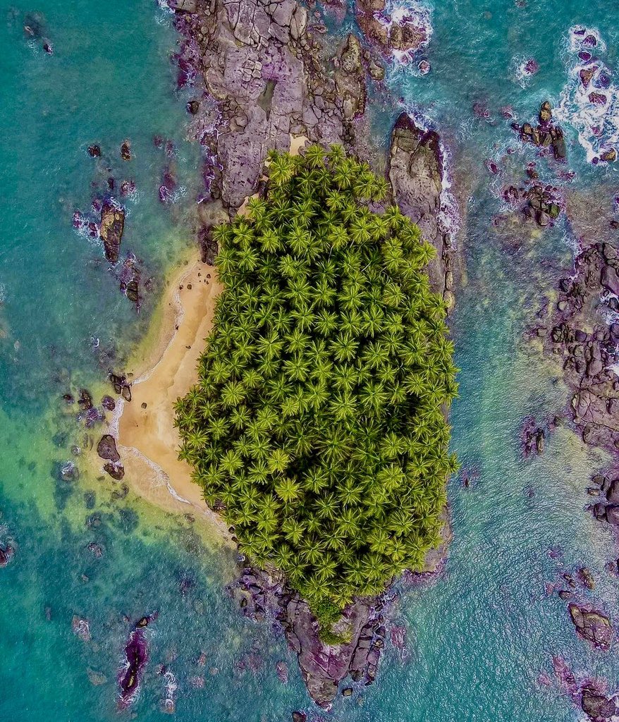 promise_africa's tweet photo. The best thing about traveling around Africa is that you discover places you never thought exist.

An island in Liberia.🇱🇷🇱🇷

#liberia #promiseofafrica #traveltoafrica #africa #liberiatourism #freedomcountry #africatourism #ellenleaf #femalepresident #liberiaislands https://t.co/i9VUtaaevp