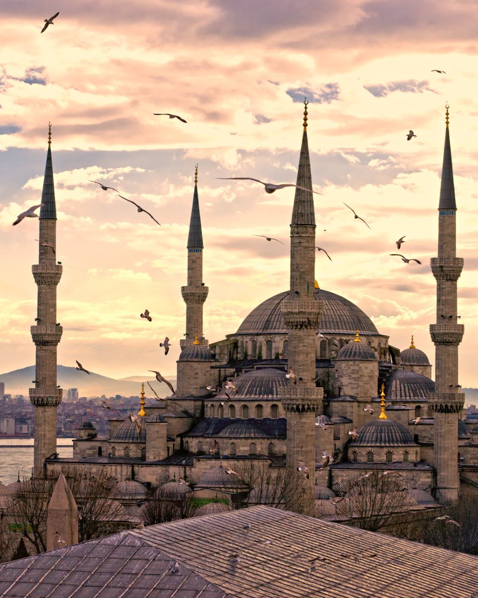 civitatis_it's tweet photo. La #Sultanahmet, meglio conosciuta come #MoscheaBlu, è una delle più importanti moschee di #Istanbul, costruita dall'architetto Sedefkar Mehmed Agha. 🛕
Lo sapevate che il suo nome deriva dalle 21.043 piastrelle di ceramica turchese inserite nelle pareti e nella cupola? 😍 https://t.co/pBbejtKTtF