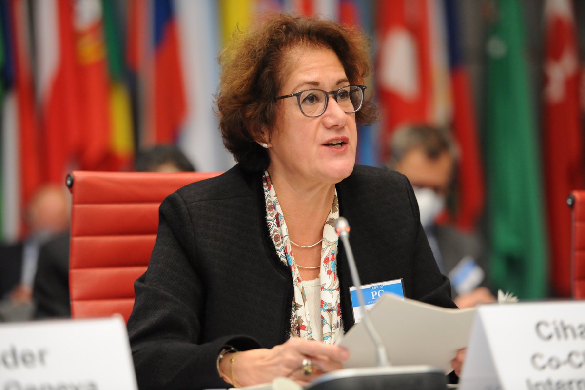 SwedeninATOSCE's tweet image. .@csultanoglu: We continue to advocate for positive measures for women’s participation in the GID. Together w/ @UNDPPA we are currently working on a gendered analysis of the conflict aimed at supporting inclusive peacemaking in the GID context. #GenderEquality
📸OSCE/M.Kroell
/3