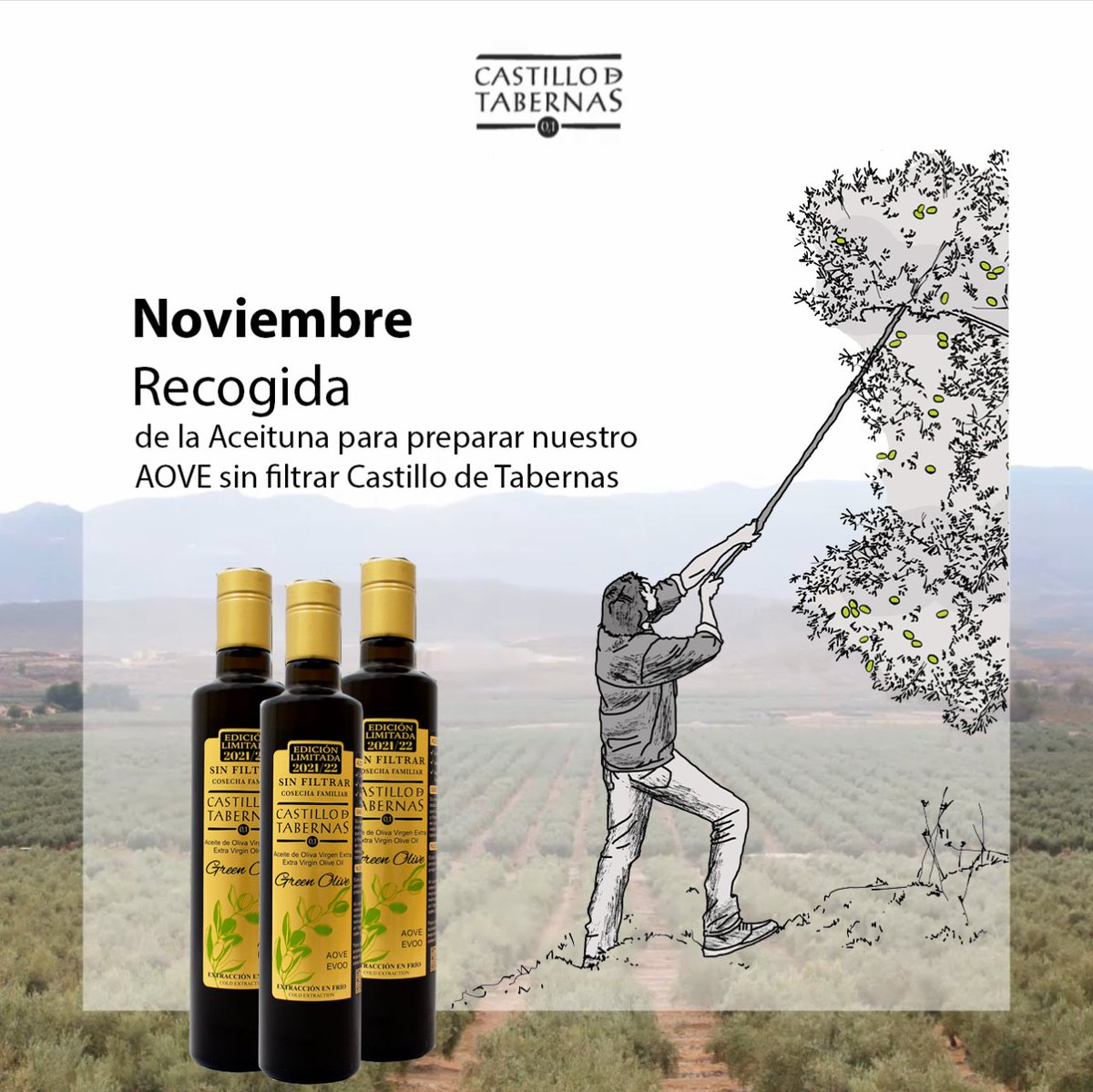 AceiteTabernas's tweet photo. Noviembre es el mes de la recogida y el mes de empezar a embotellar en AOVE Castillo de Tabernas nuestro primer AOVE SIN FILTRAR de la temporada.

Haz tu reserva y se el primero en probarlo: https://t.co/Pi9XGGQ6SD https://t.co/syX8o4mp36