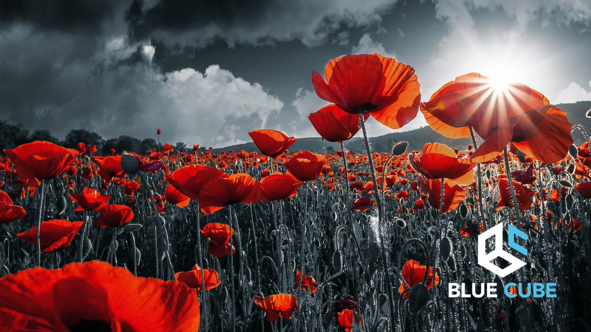 bluecubepcs's tweet photo. “They shall grow not old, as we that are left grow old: Age shall not weary them, nor the years condemn. At the going down of the sun and in the morning, We will remember them."

#Remembranceday #Lestusforget https://t.co/w13cJI99Y4
